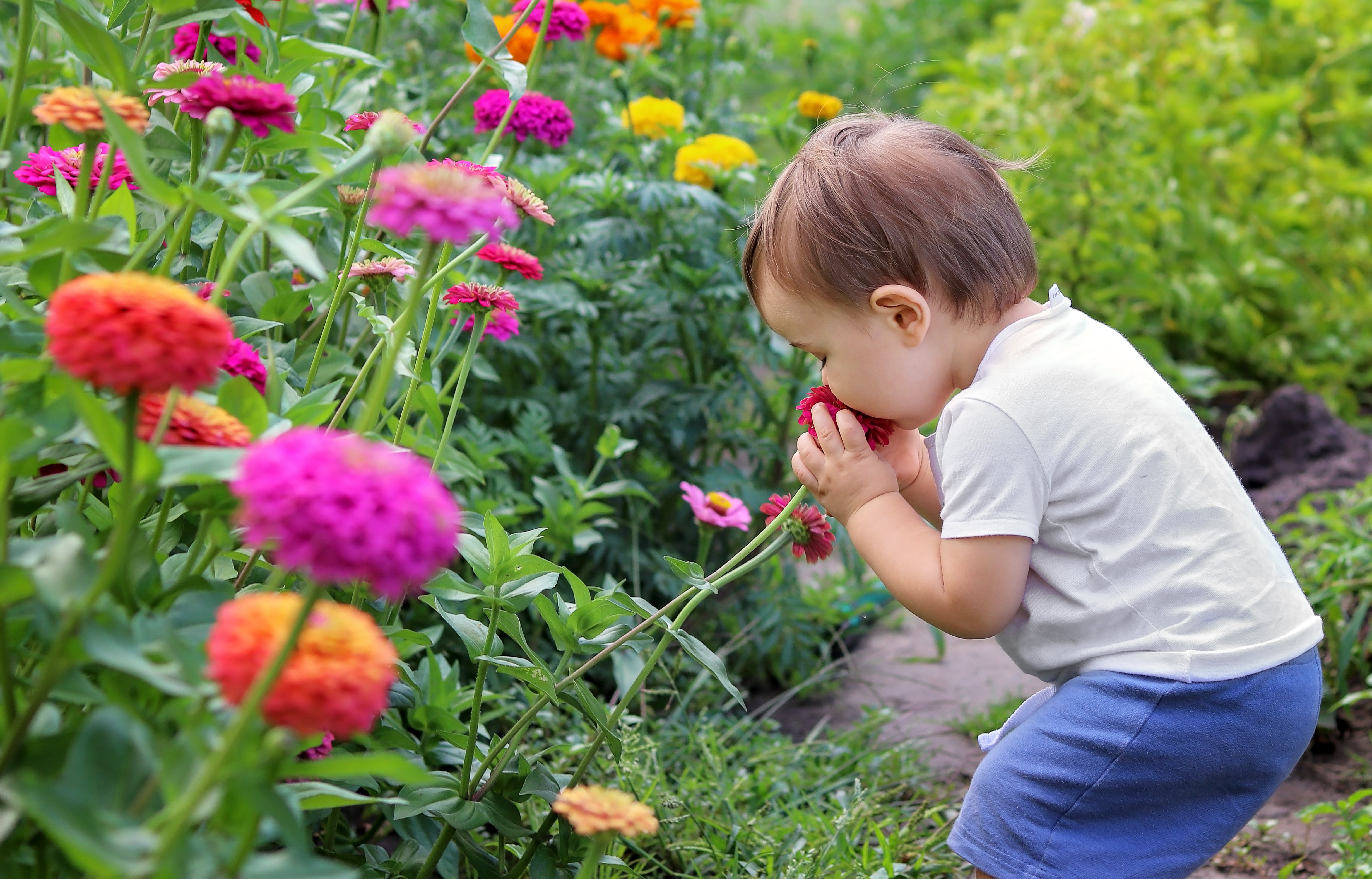 AdobeStock_313125547
