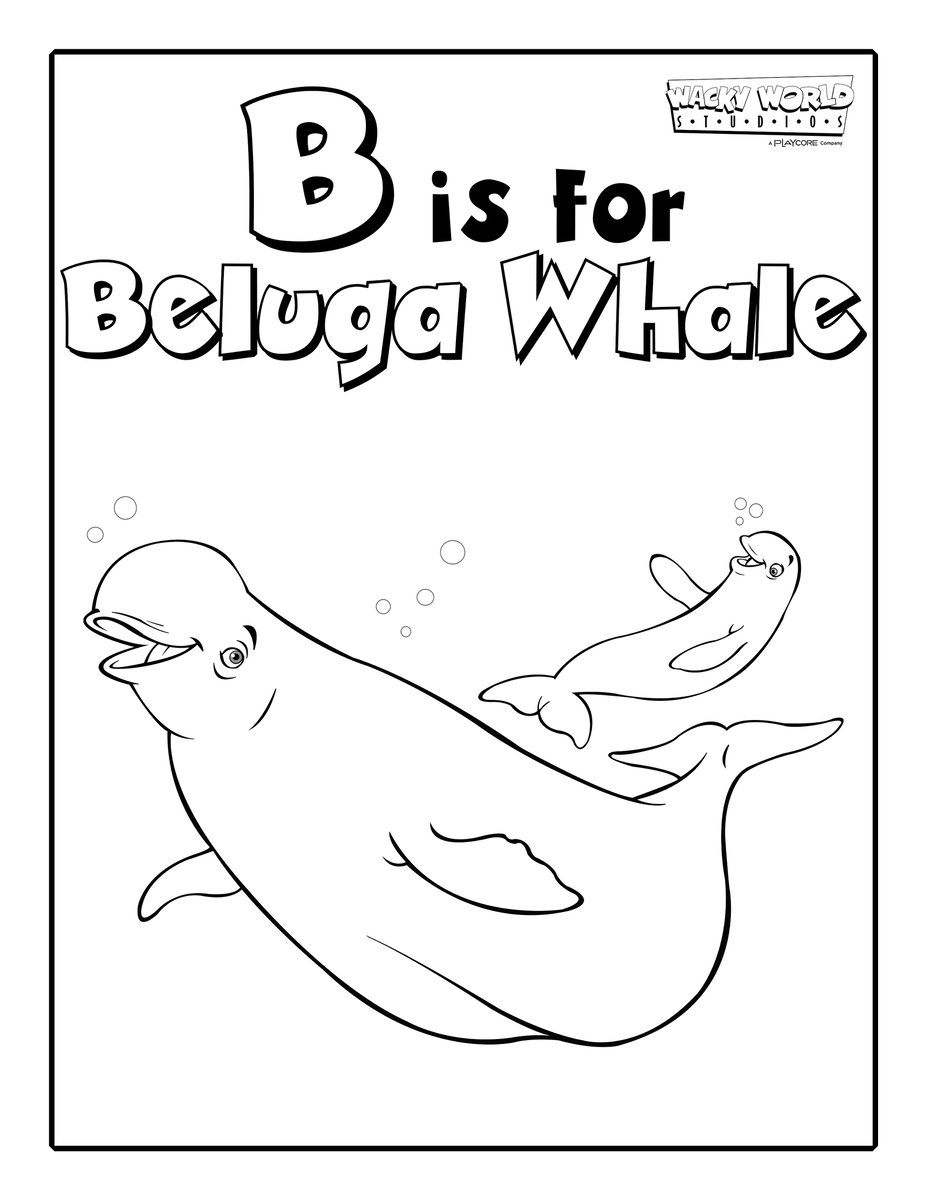 B is for Beluga Whale