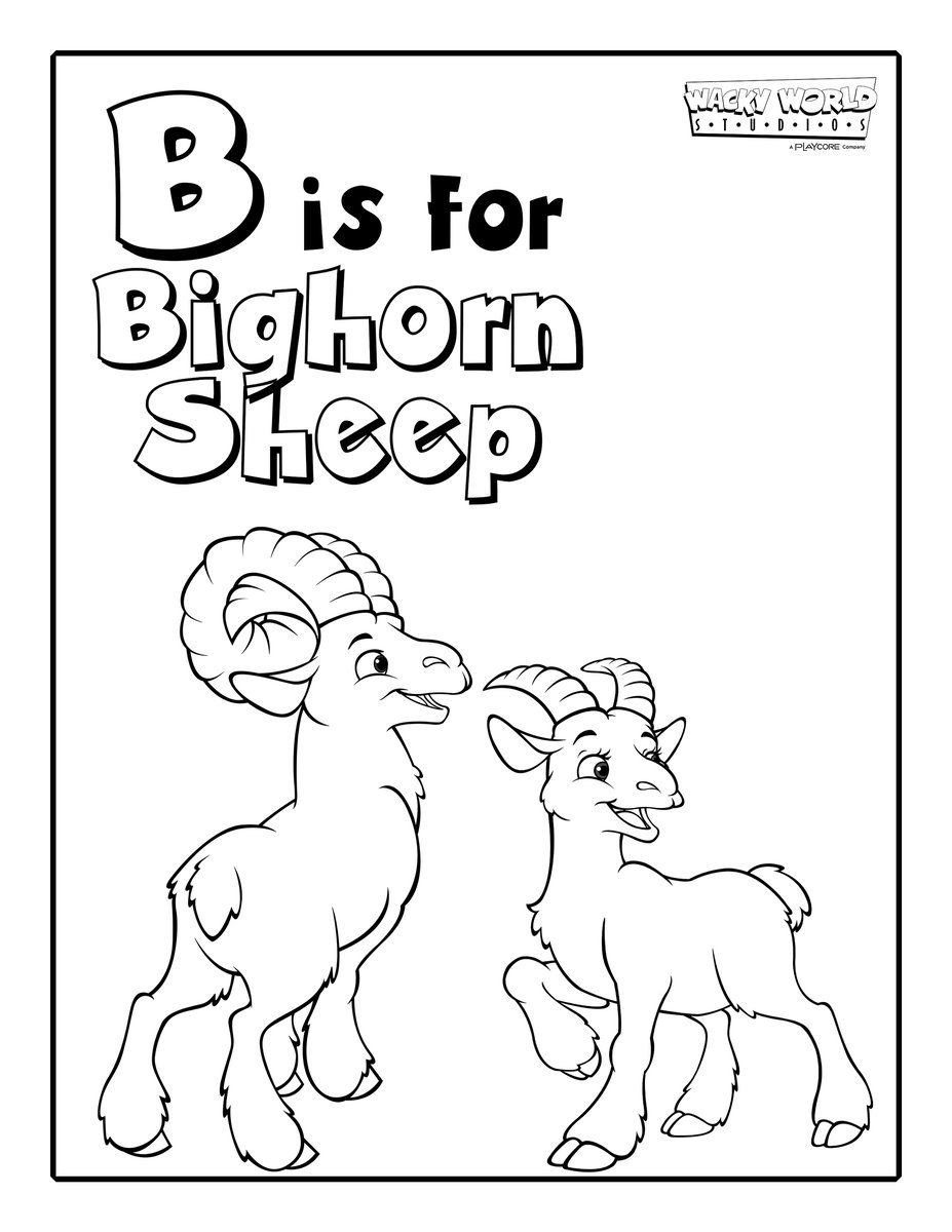 B is for Bighorn Sheep