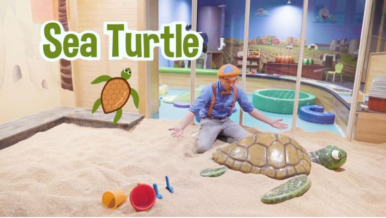 BlippiTurtle