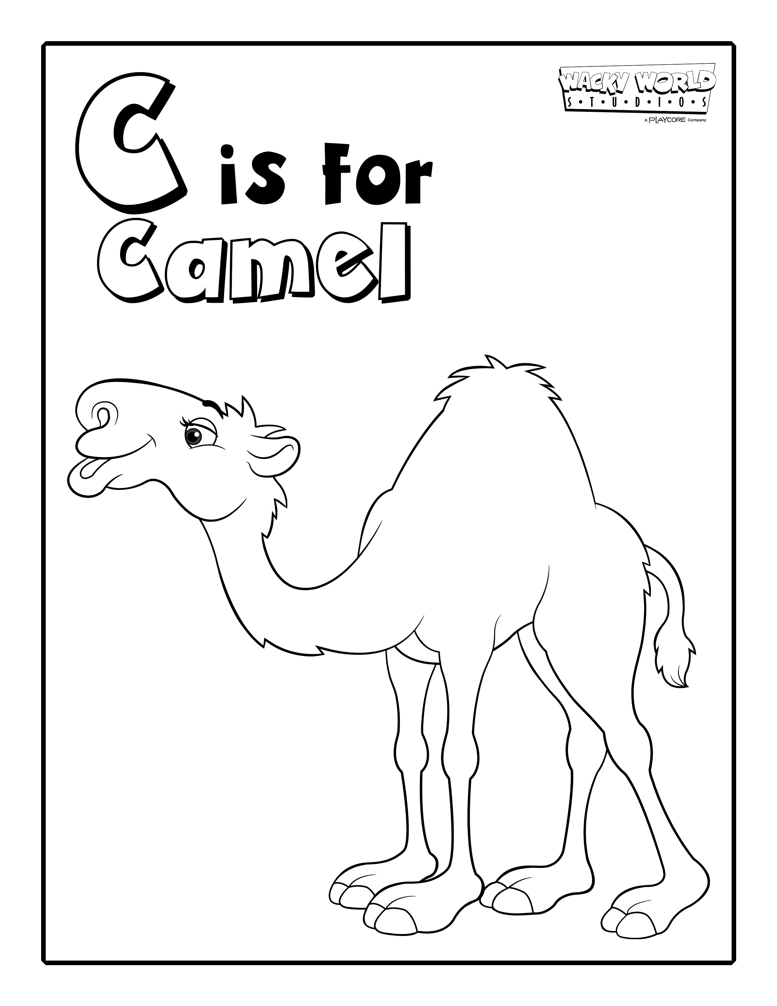 C is for Camel