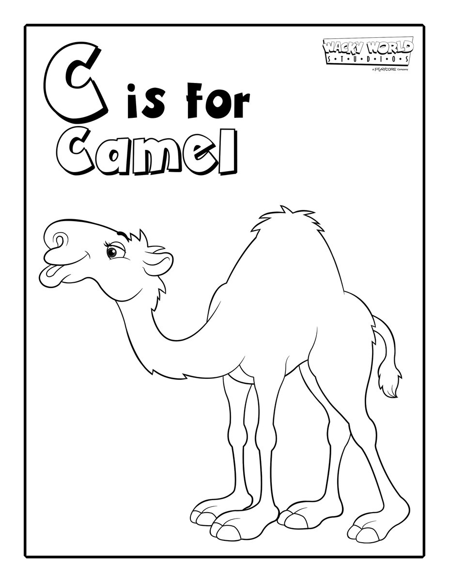 C is for Camel