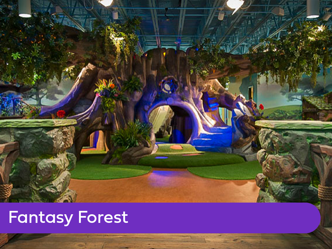 Fantasy Forest_gallery