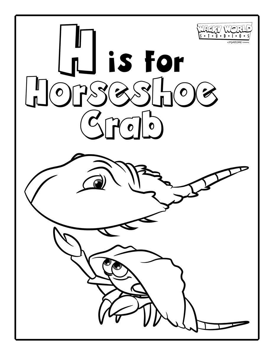 H is for Horseshoe Crab