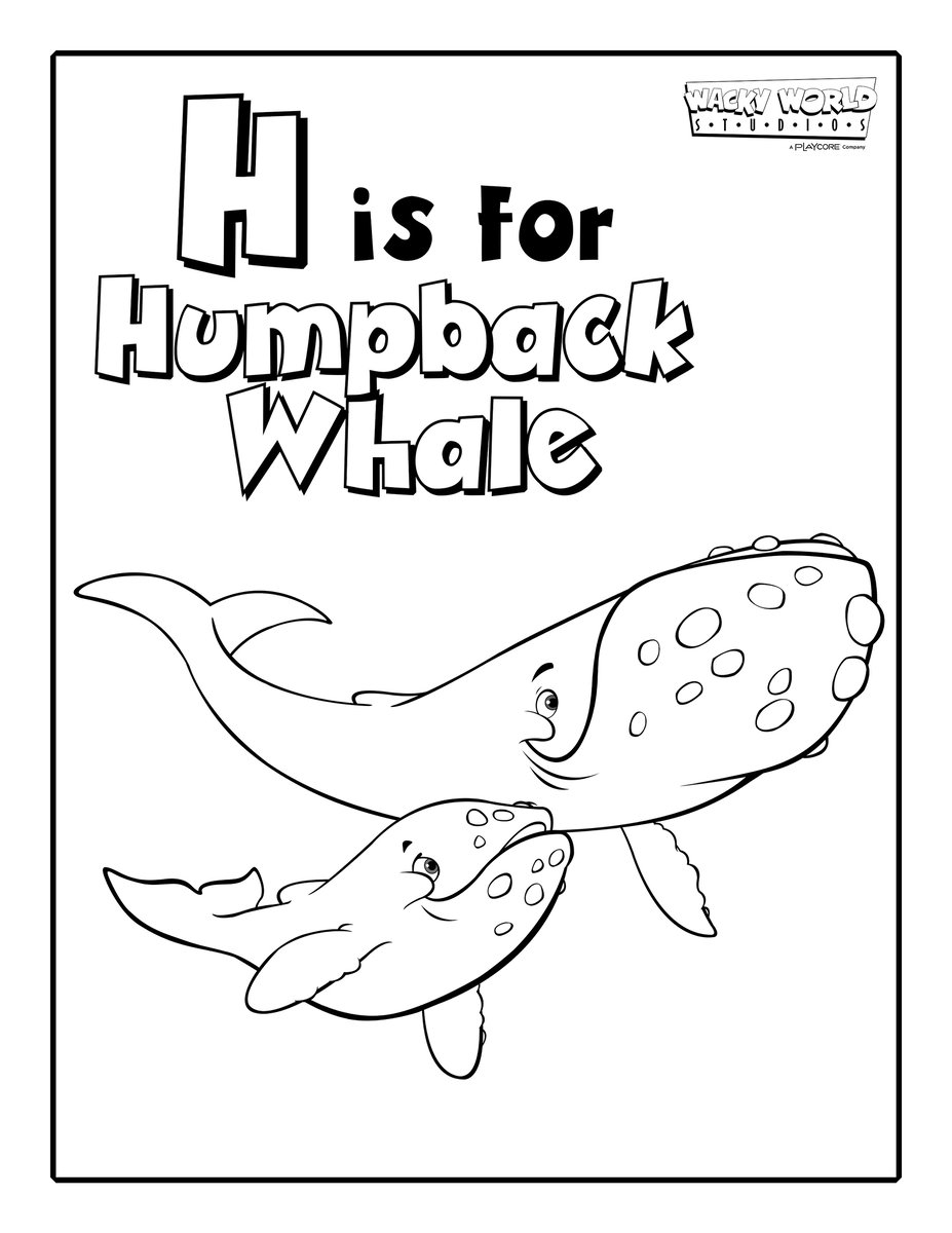 H is for Humpback Whale