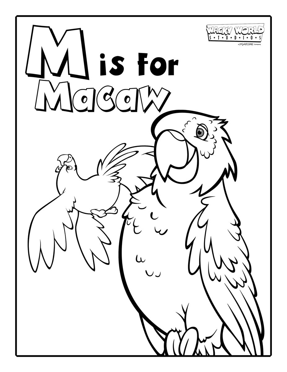 M is for Macaw