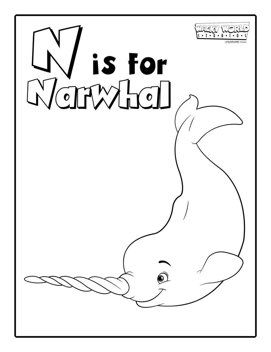 N is for Narwhal