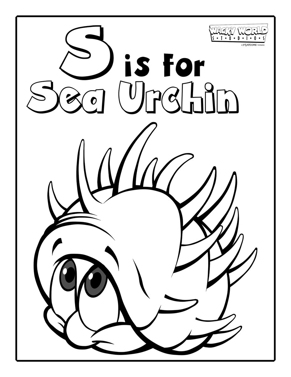 S is for Sea Urchin