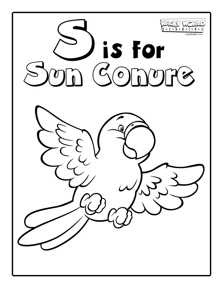 S is for Sun Conure