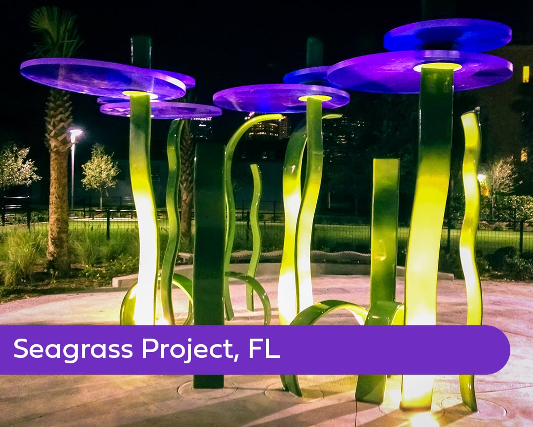 Seagrass_gallery