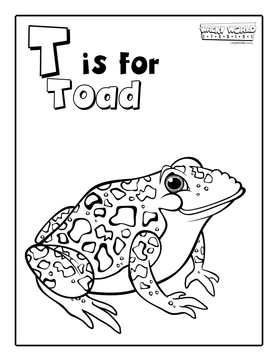 T is for Toad