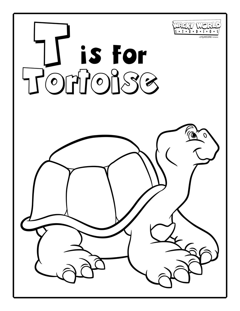 T is for Tortoise