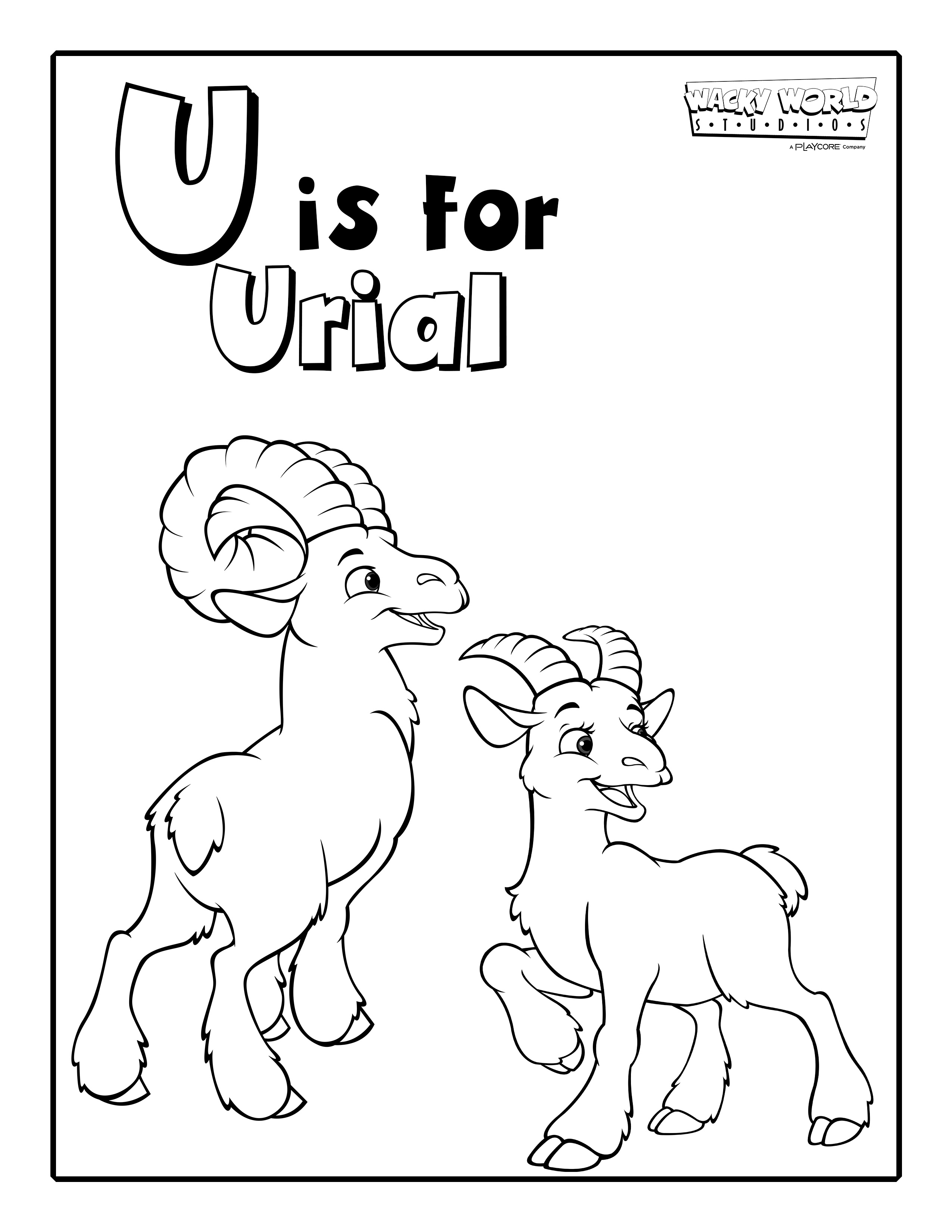 U is for Urial