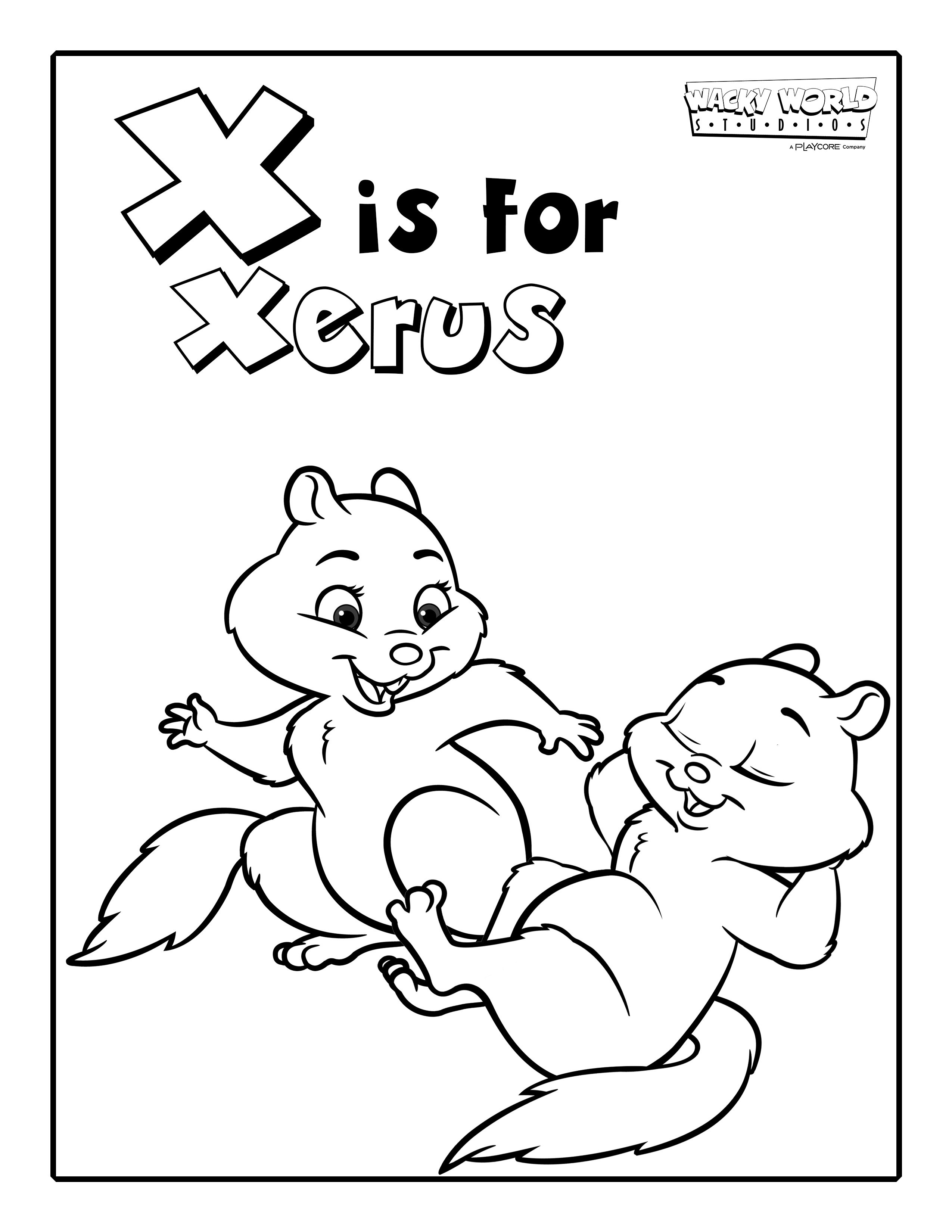X is for Xerus
